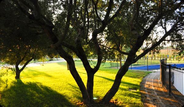 Tenuta Santa Lucia Hotell San Giovanni Rotondo Exteriör bild